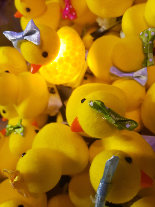 Light up Duck Clips